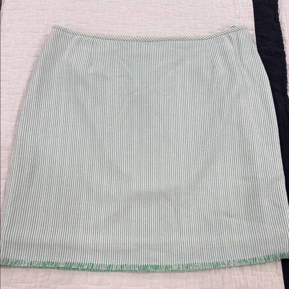 Preston & York Mint Striped Pencil Skirt